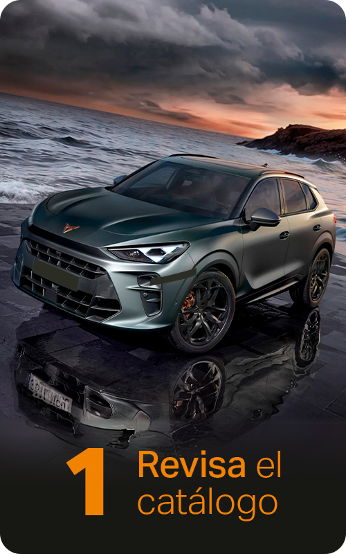 Cupra_card01