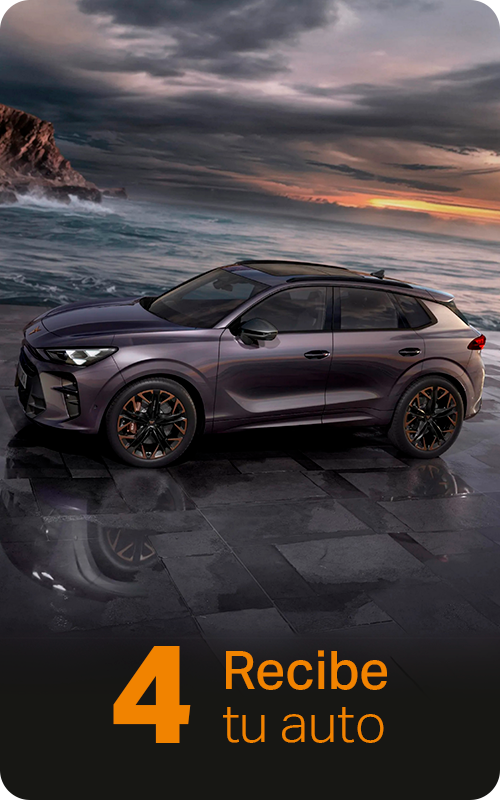 Cupra_card04